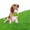Держатель пакетиков для выгула собак Boom Dog Rocketdesign Зеленый