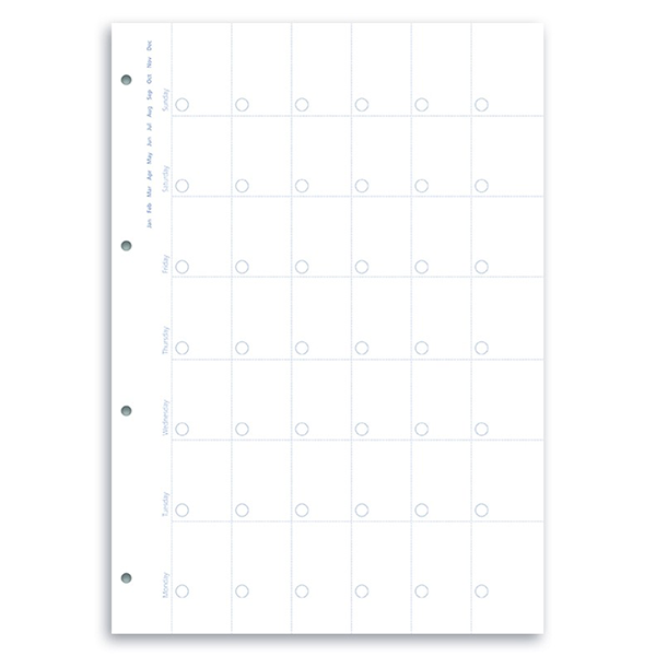 Комплект бланков Filofax Clipbook Обзор месяца недатированные A4 White (346001)