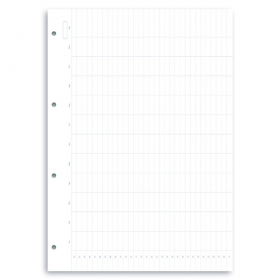 Комплект бланков Filofax Clipbook Обзор года недатированные  A4 White (346000)