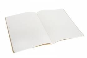 Большая тетрадь (3 шт) Moleskine Cahier черная Линия QP321 фото