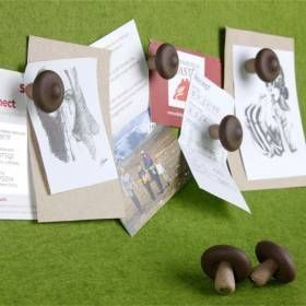 Набор магнитов Qualy Shiitake QL10229-BN фото