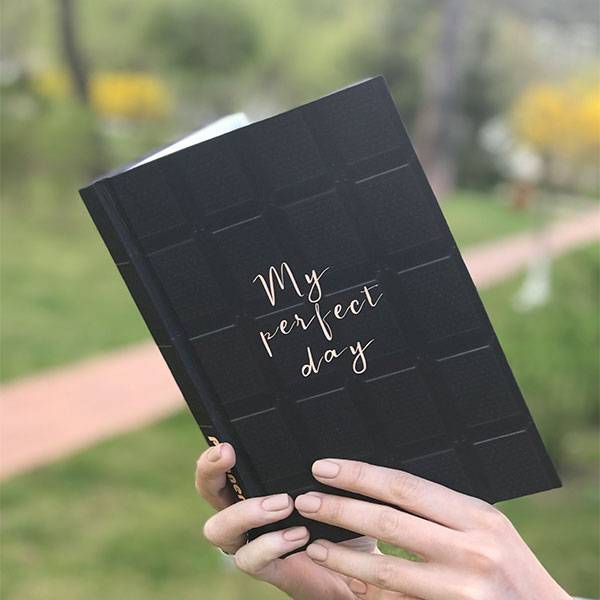 Планер My Perfect Day Professional шоколад