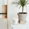 Подарочная Аромасвеча White Bloom Lavanda