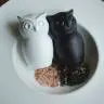 Млин для солі або перцю Tasty Owl Біла