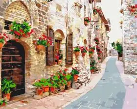 Картина за номерами Квіткова вулиця 40x50 см