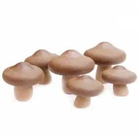 Набор магнитов Qualy Shiitake