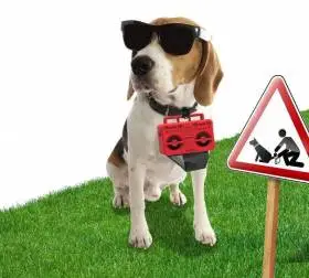 Держатель пакетиков для выгула собак Boom Dog Rocketdesign Красный
