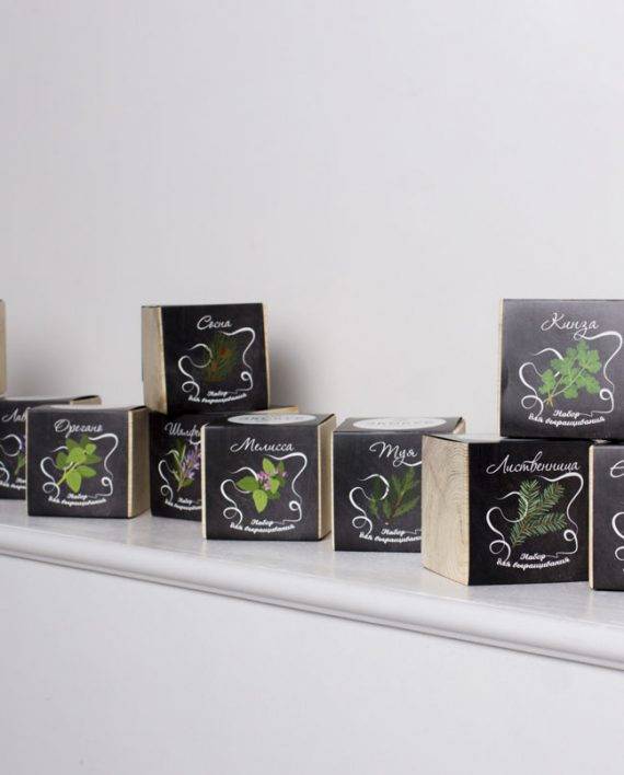 Горшок для выращивания Сосны 8х8 см ЭкоКуб Горшок для выращивания Сосны 8х8 см ЭкоКуб