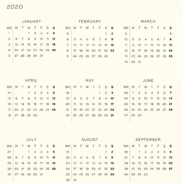 Карманный Еженедельник Leuchtturm1917 Ягодный 2020 (360002)