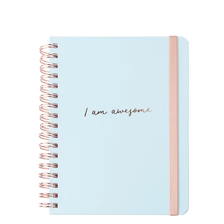 Планнер I Am Awesome Purpuri 13 x 17 см Мята