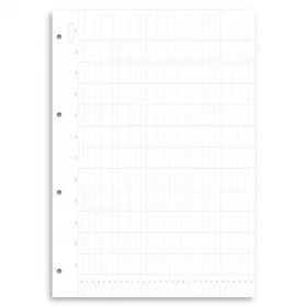 Комплект бланков Filofax Clipbook Обзор года недатированные  A4 White (346000)