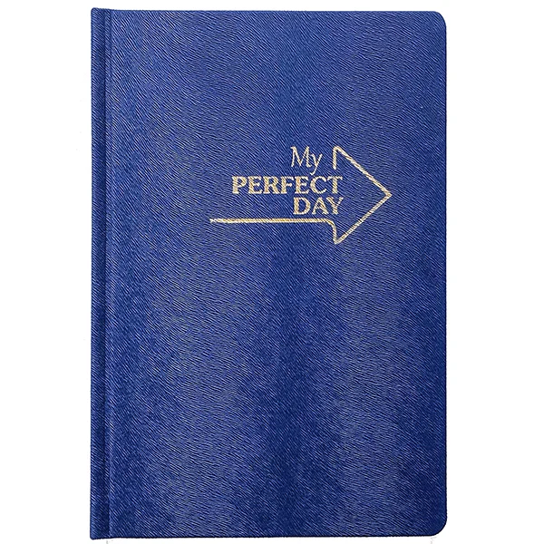 Планер My Perfect Day Professional Синий