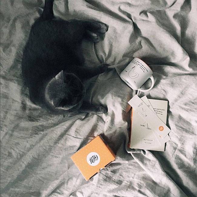 Gifty Чашка Гусь Winner 320 мл