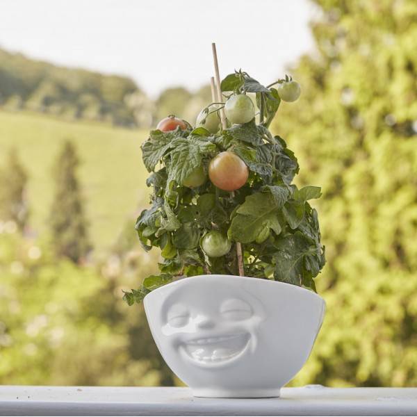 Пиала Tassen Laughing 500 мл Белая