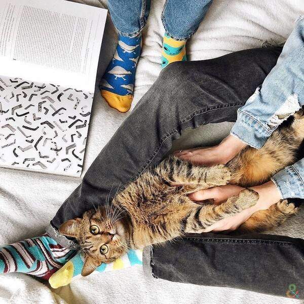 Шкарпетки Sammy Icon Brekker