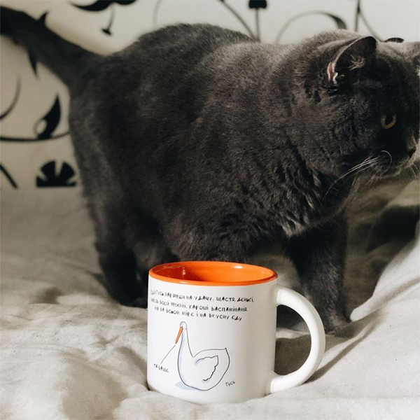 Чашка Gifty Гусь Удачная 350 мл