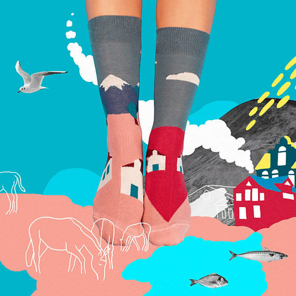 Шкарпетки Sammy Icon Eiger