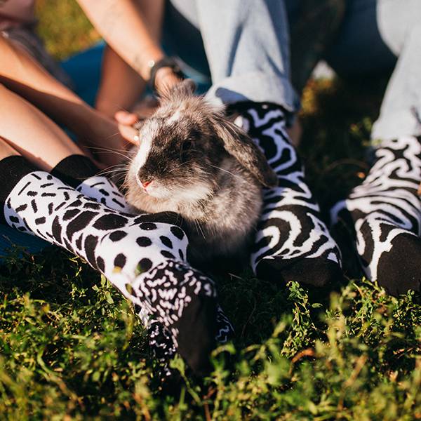 Носки Sammy Icon Kotto