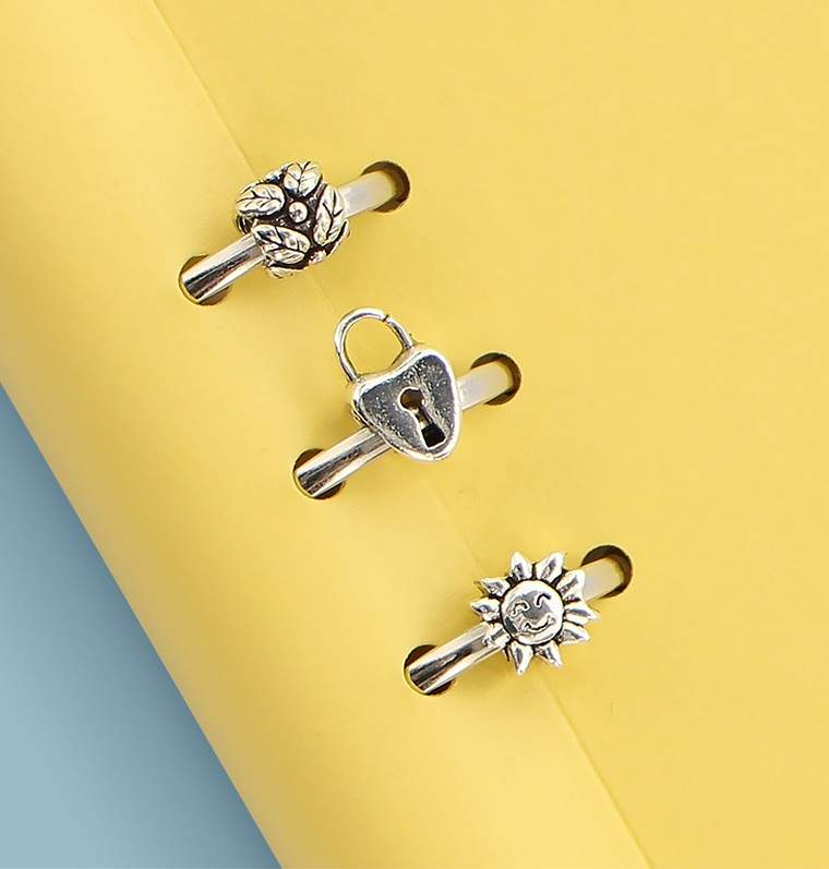 Органайзер с Набором для Кастомизации Filofax CLIPBOOK A5 Classic Pastels Lemon