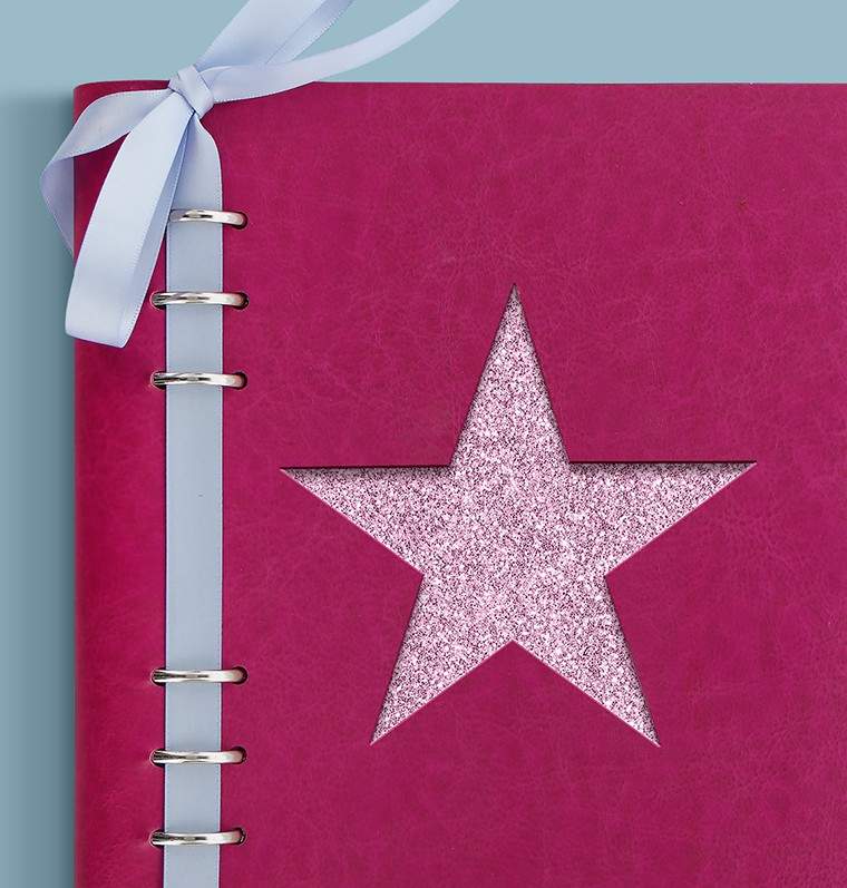 Органайзер с Набором для Кастомизации Filofax CLIPBOOK A5 Classic Brights Fuchsia