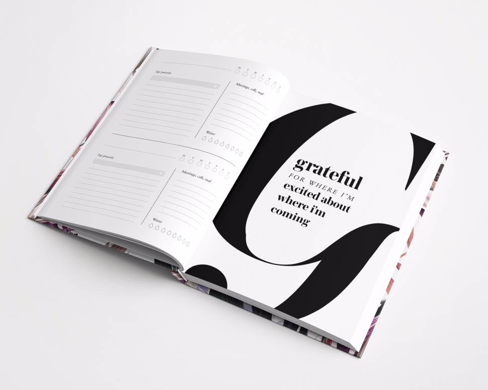 Ежедневник на год Goals Planner Zebra + наклейки Ежедневник на год Goals Planner Zebra + наклейки