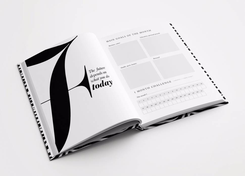 Ежедневник на год Goals Planner Zebra + наклейки Ежедневник на год Goals Planner Zebra + наклейки