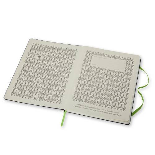 Большой профессиональный блокнот Moleskine Evernote Business Линия