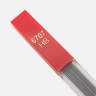 Набір грифелів для механічних олівців Caran d&#39;Ache HB 0,7 мм (12 шт.)