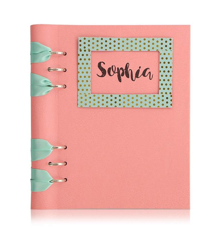 Органайзер с Набором для Кастомизации Filofax CLIPBOOK A5 Classic Pastels Rose
