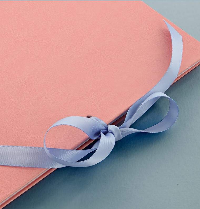 Органайзер с Набором для Кастомизации Filofax CLIPBOOK A5 Classic Pastels Rose