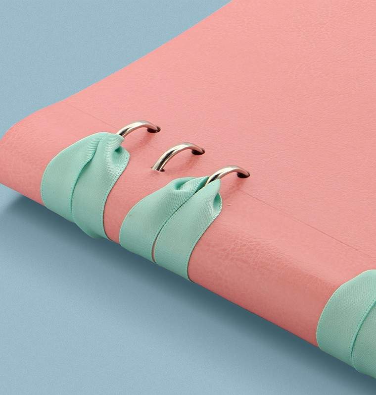 Органайзер с Набором для Кастомизации Filofax CLIPBOOK A5 Classic Pastels Rose