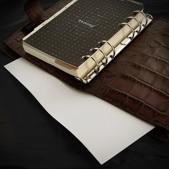Органайзер Filofax Classic Croc Personal Chestnut (026016)