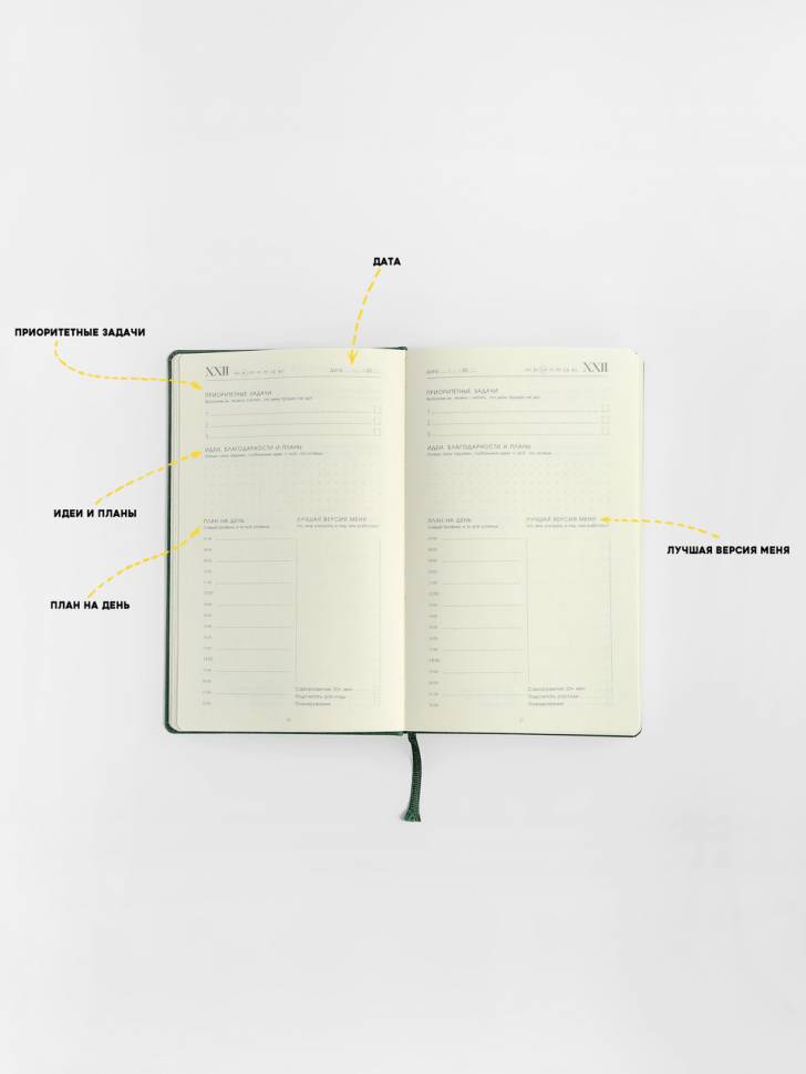 Планер Миллион Долларов Зеленый