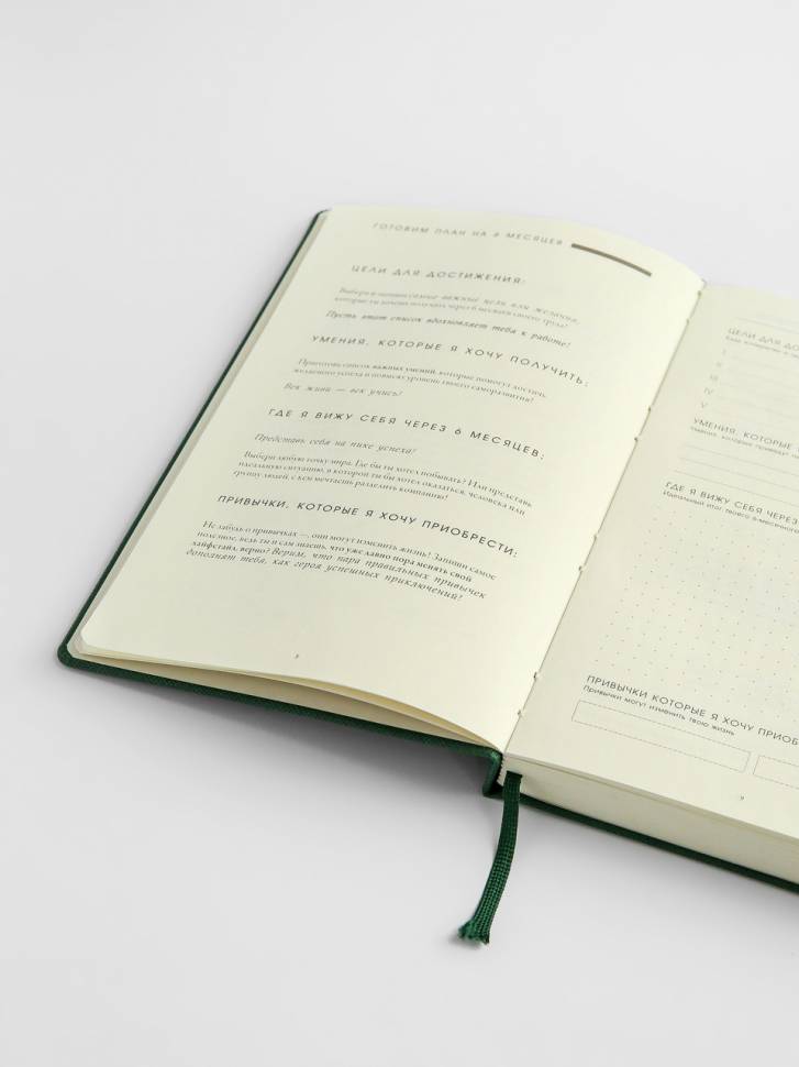 Планер Миллион Долларов Зеленый