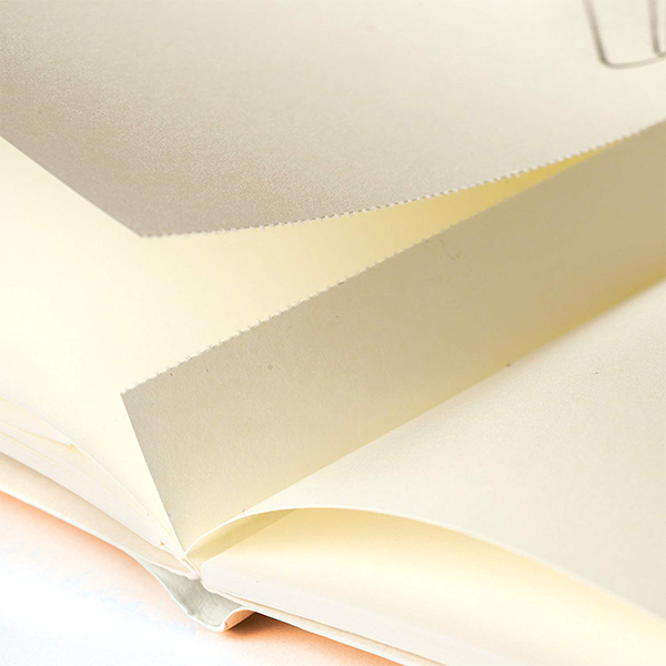 Средний блокнот Leuchtturm1917 JottBook Медный Чистые Листы 2 шт (355539)