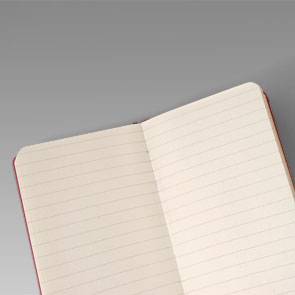 Записная книжка Moleskine Mini Розовая Линия