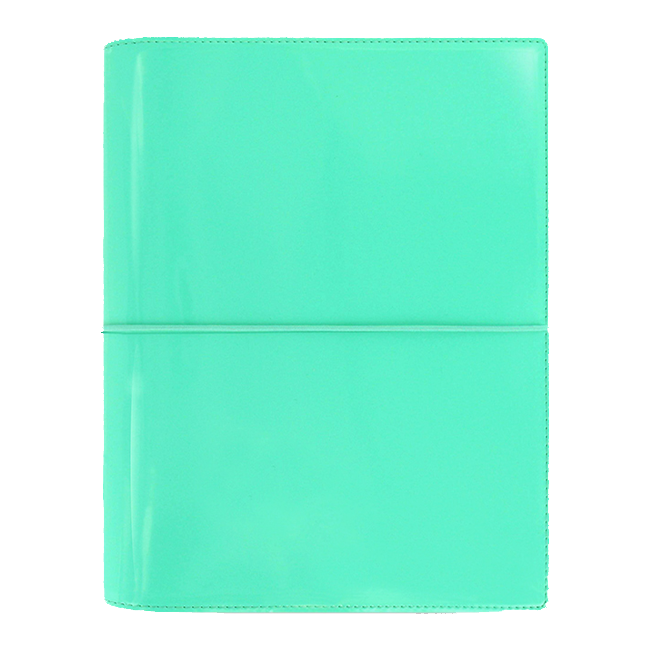 Органайзер Filofax Domino Patent A5 Turquoise (022515)