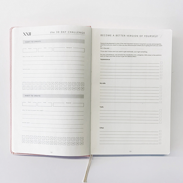 Планер Simpl Розовый