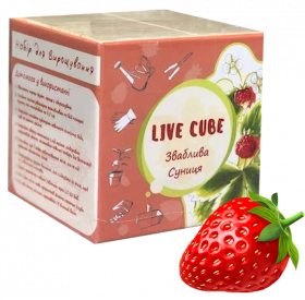 Набір для вирощування Live Cube Суниця