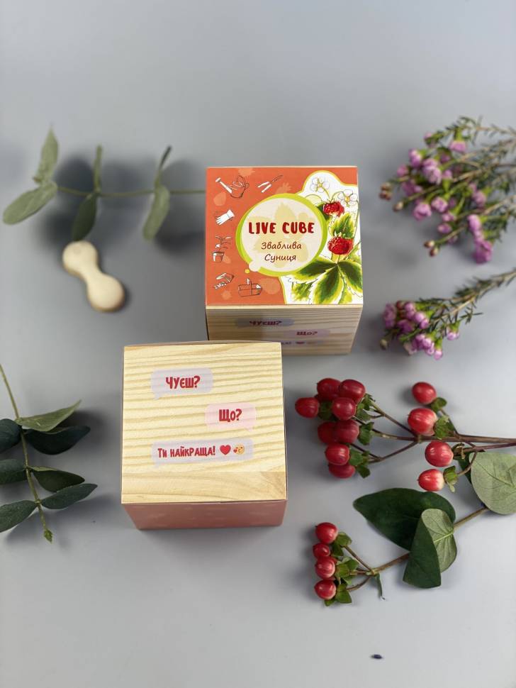 Набор для выращивания Live Cube Земляника