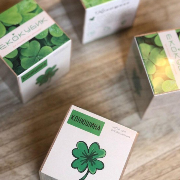 Экокуб Клевер