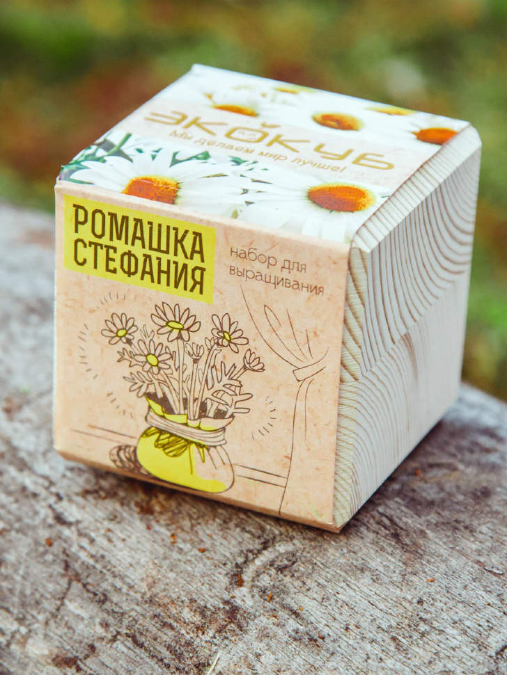 Экокуб Ромашка