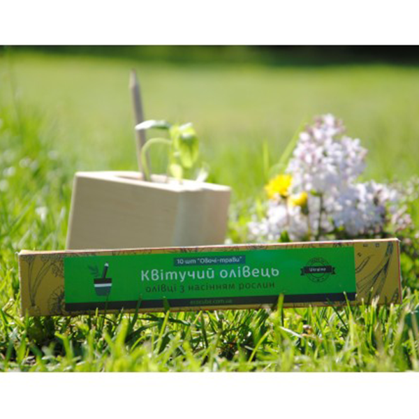 Набор Цветущих Карандашей Ecocube Чайный Набор (4 шт.)