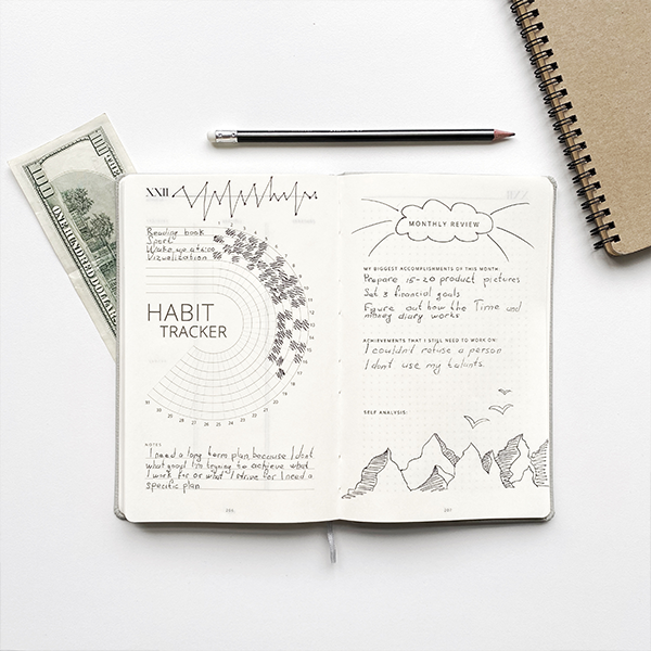 Планер Simpl Серый