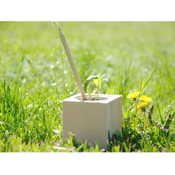 Набор Цветущих Карандашей Ecocube Цветы (6 шт.)