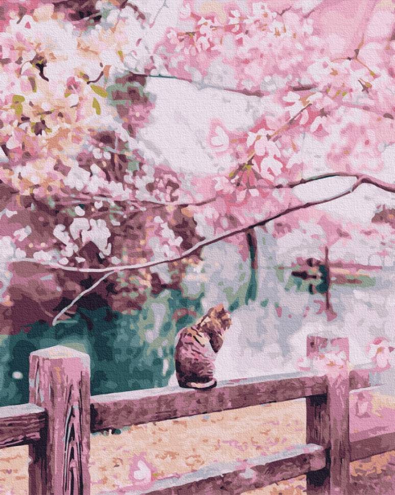 Картина за номерами Котик в квітучій сакурі 40x50 см