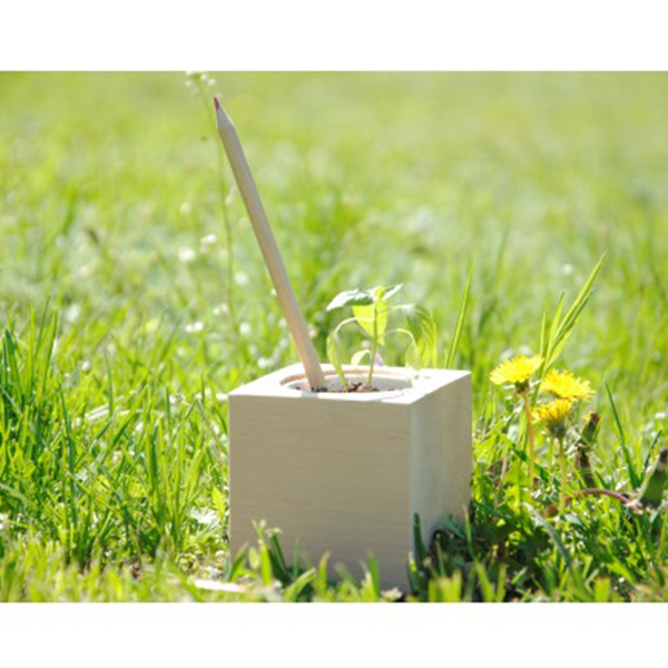 Набор Цветущих Карандашей Ecocube Салат (6 шт)