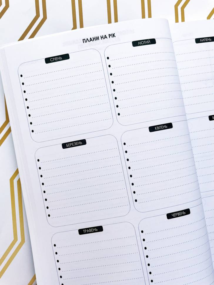 Планер Студента Графити