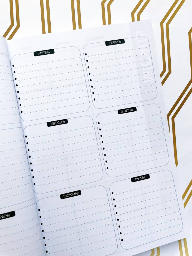 Планер Студента Графити