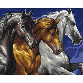 Картина за номерами Тріо коней 40x50 см